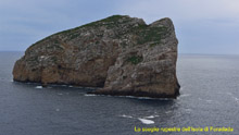 immagine 43 di 80
